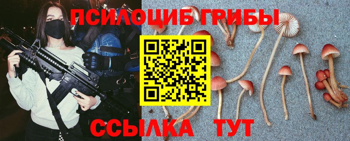 Псилоцибиновые грибы Magic Shrooms Гусев