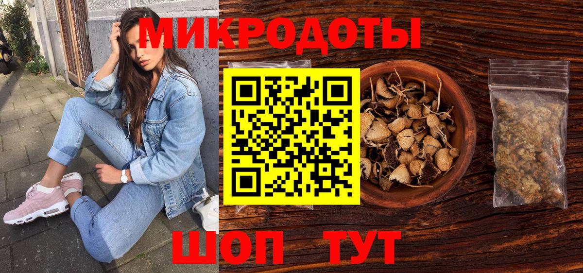 Гусев  Псилоцибиновые грибы Psilocybine cubensis  Вход с VPN 